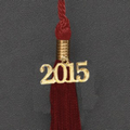 Graduation Tassel Year Tag